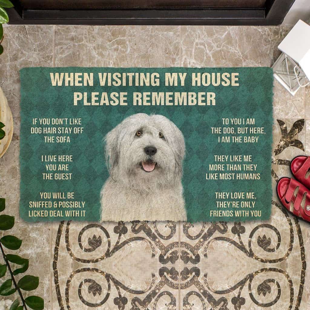 Dog Doormat 3D Please Remember English Sheepdog House Rules Custom Doormat