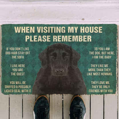 Dog Doormat 3D Please Remember Flat Coated Retriever Dogs House Rules Doormat