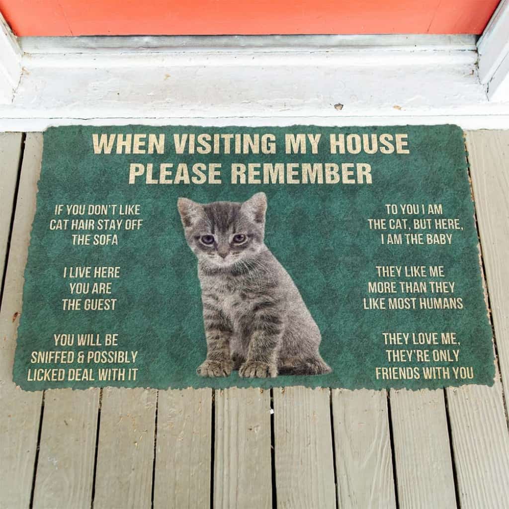 Dog Doormat 3D Please Remember Gray Tabby Kitten Cats House Rules Custom Doormat