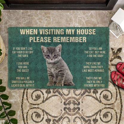 Dog Doormat 3D Please Remember Gray Tabby Kitten Cats House Rules Custom Doormat