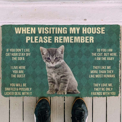 Dog Doormat 3D Please Remember Gray Tabby Kitten Cats House Rules Custom Doormat