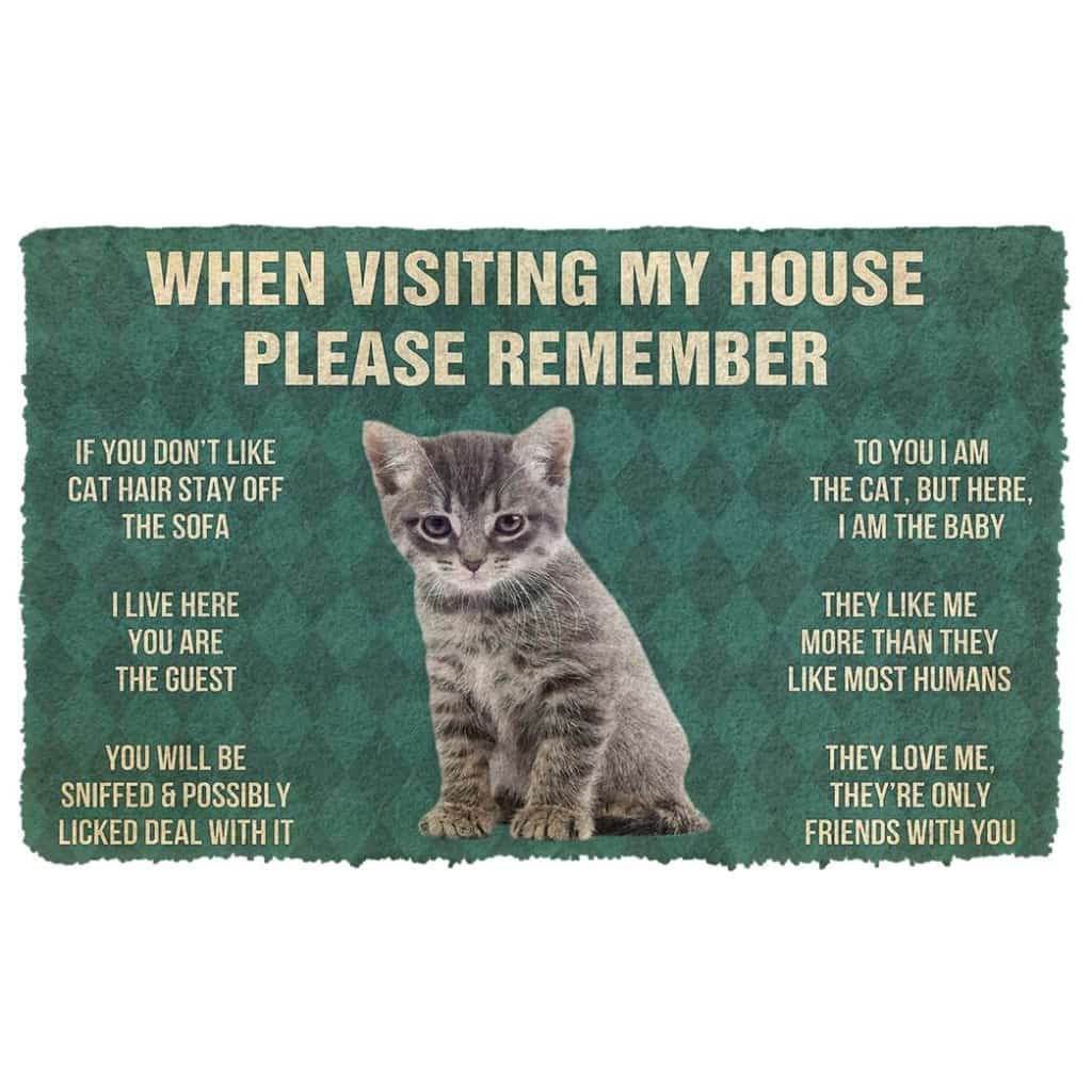 Dog Doormat 3D Please Remember Gray Tabby Kitten Cats House Rules Custom Doormat