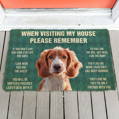 Dog Doormat 3D Please Remember Irish Red and White Setter Dogs House Rules Doormat