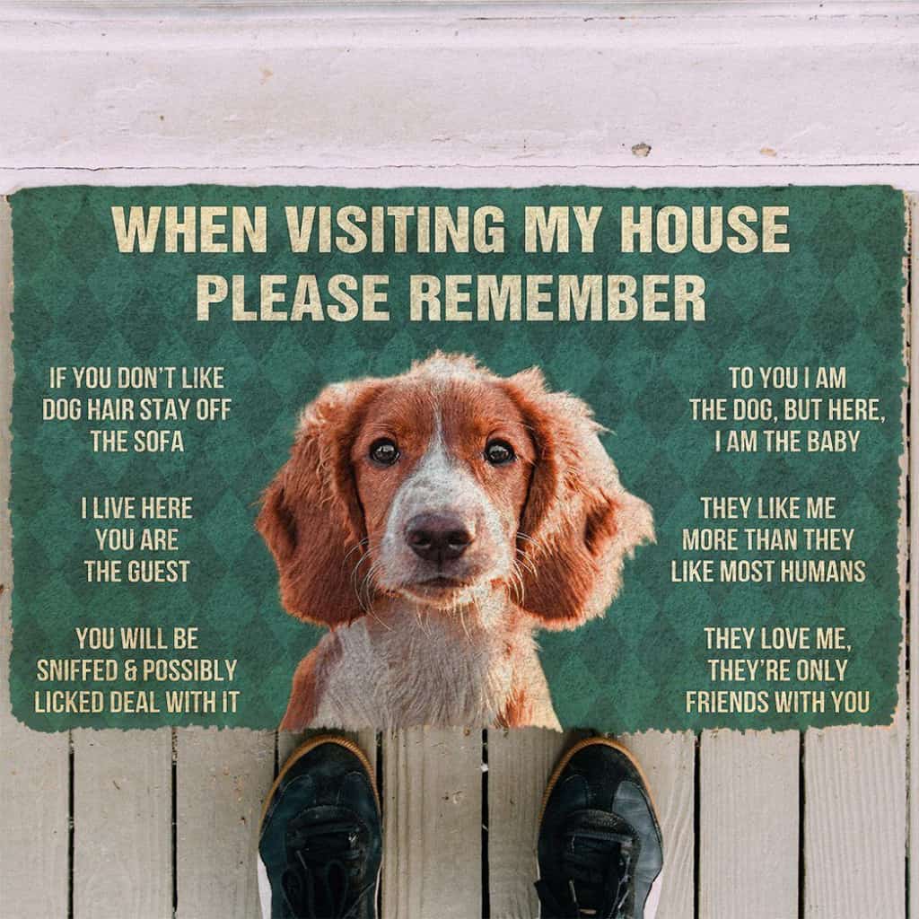 Dog Doormat 3D Please Remember Irish Red and White Setter Dogs House Rules Doormat