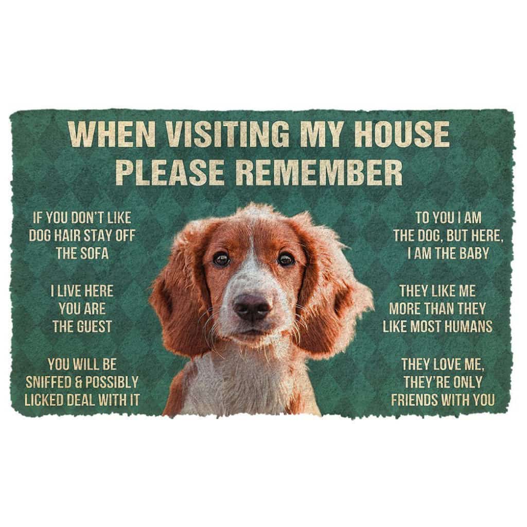 Dog Doormat 3D Please Remember Irish Red and White Setter Dogs House Rules Doormat