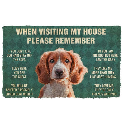 Dog Doormat 3D Please Remember Irish Red and White Setter Dogs House Rules Doormat