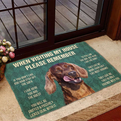 Dog Doormat 3D Please Remember Irish Setters House Rule Custom Doormat