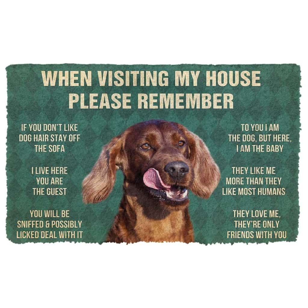 Dog Doormat 3D Please Remember Irish Setters House Rule Custom Doormat
