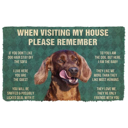 Dog Doormat 3D Please Remember Irish Setters House Rule Custom Doormat