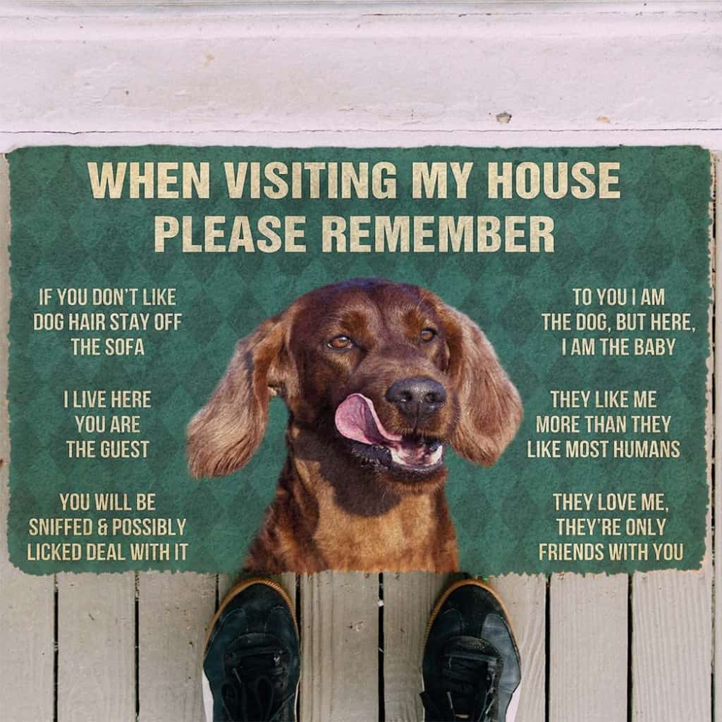 Dog Doormat 3D Please Remember Irish Setters House Rule Custom Doormat