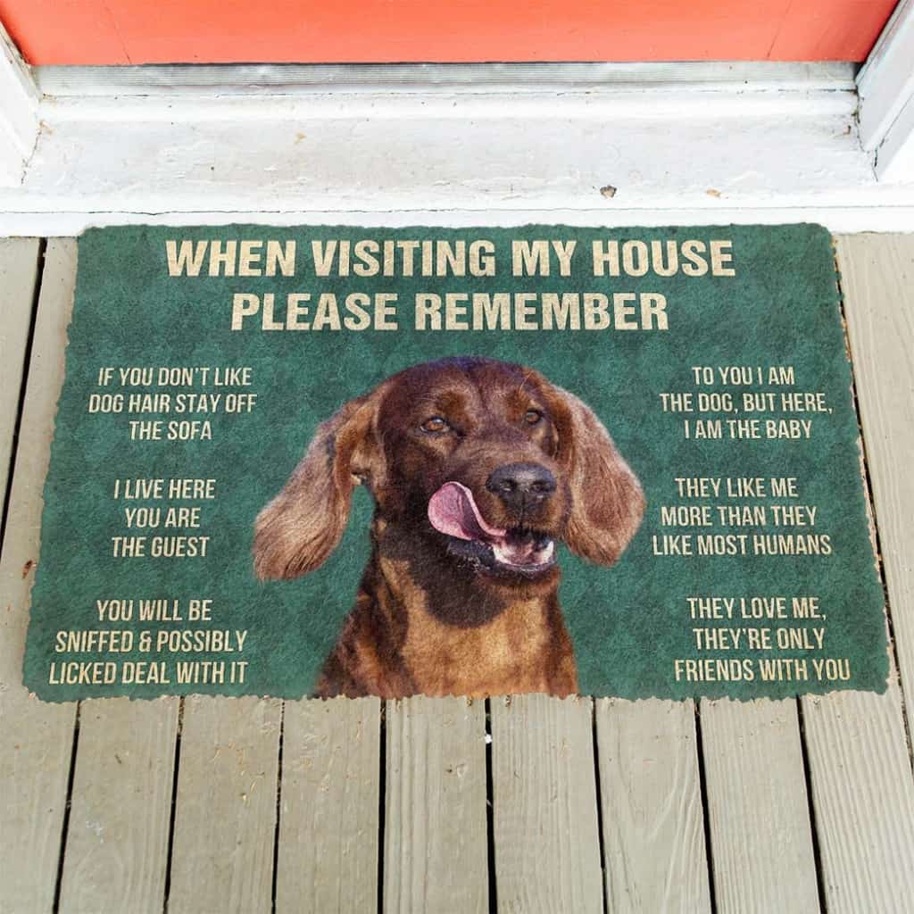 Dog Doormat 3D Please Remember Irish Setters House Rule Custom Doormat