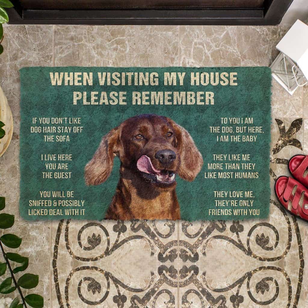 Dog Doormat 3D Please Remember Irish Setters House Rule Custom Doormat
