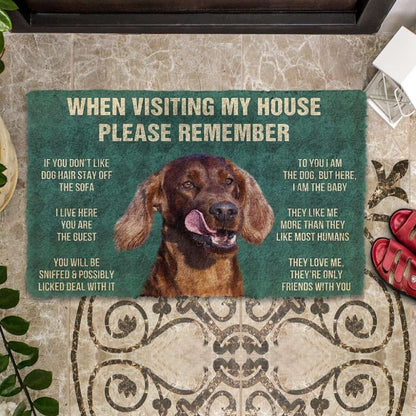 Dog Doormat 3D Please Remember Irish Setters House Rule Custom Doormat