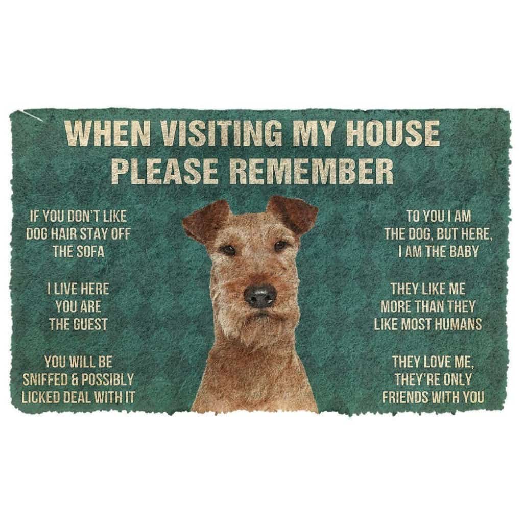 Dog Doormat 3D Please Remember Irish Terrier Dogs House Rules Doormat