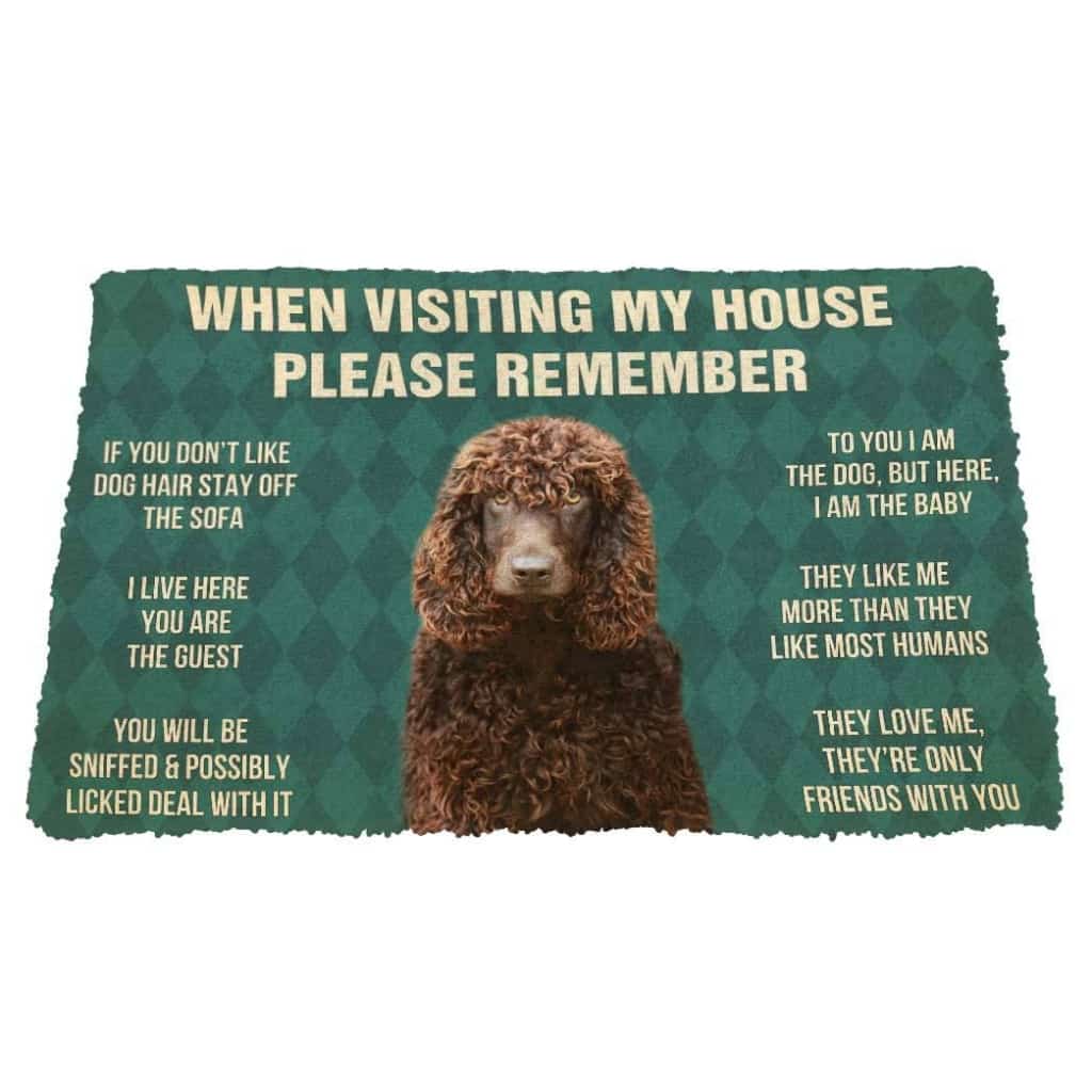 Dog Doormat 3D Please Remember Irish Water Spaniel Dogs House Rules Custom Doormat