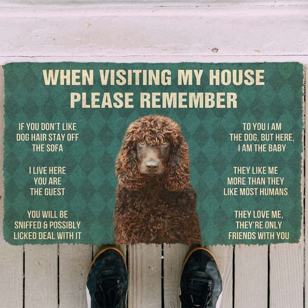 Dog Doormat 3D Please Remember Irish Water Spaniel Dogs House Rules Custom Doormat