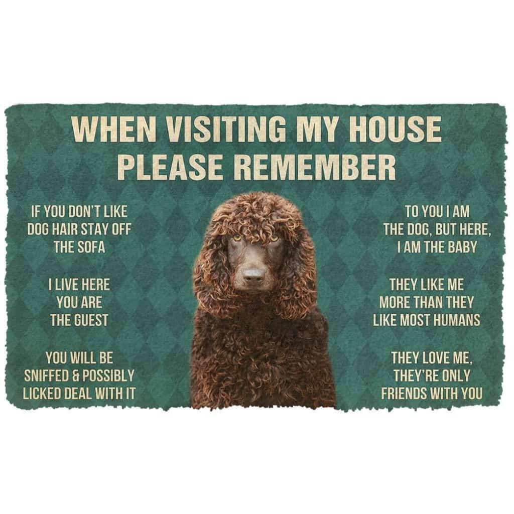 Dog Doormat 3D Please Remember Irish Water Spaniel Dogs House Rules Custom Doormat