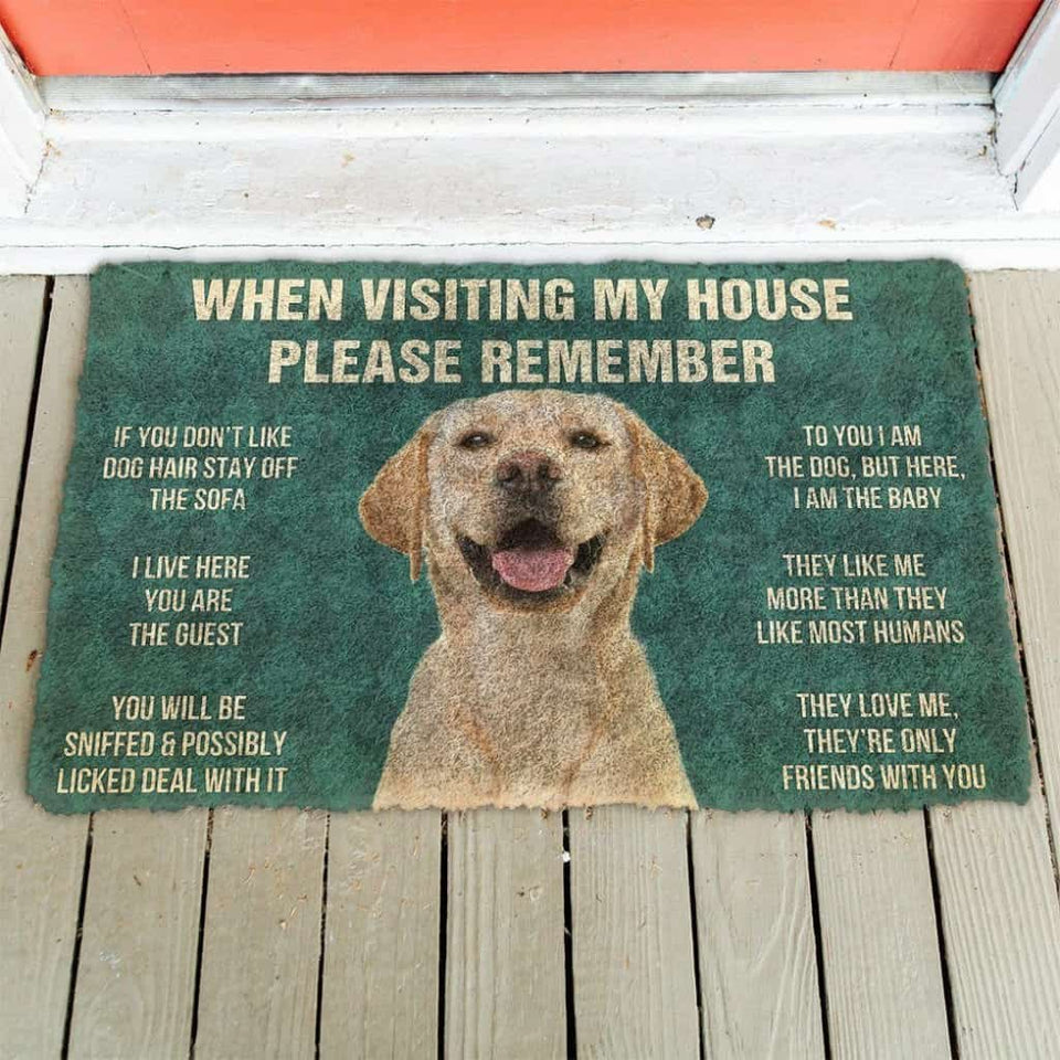 Dog Doormat 3D Please Remember Labrador Retriever Dog's House Rules Doormat