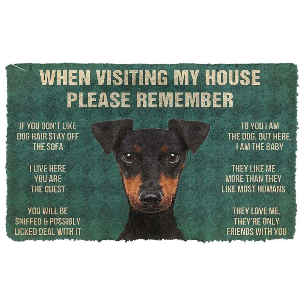 Dog Doormat 3D Please Remember Manchester Terrier Dogs House Rules Doormat