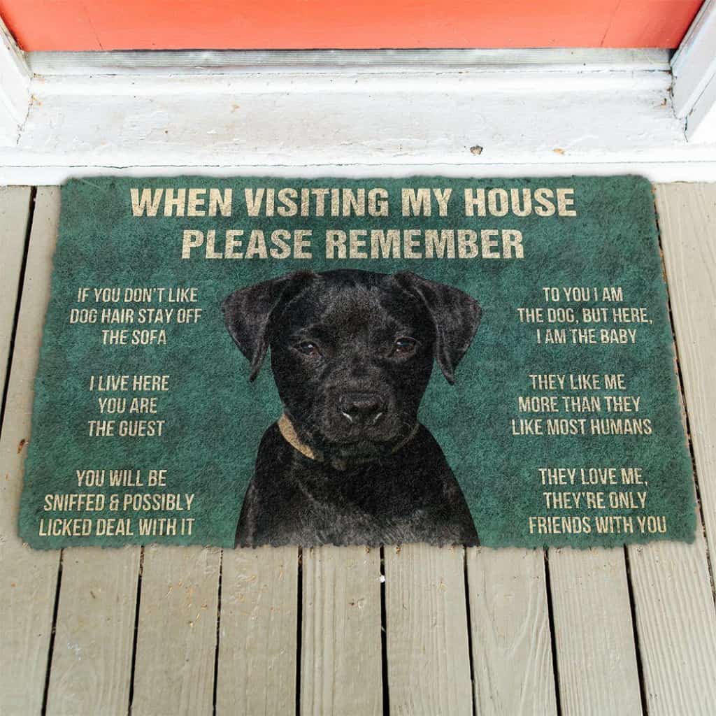 Dog Doormat 3D Please Remember Patterdale Terrier Dogs House Rules Doormat