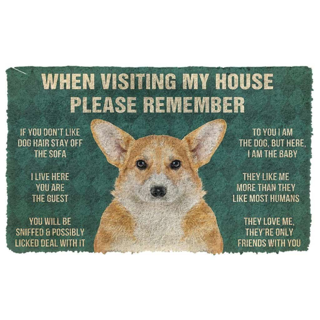 Dog Doormat 3D Please Remember Pembroke Welsh Corgi Dogs House Rules Doormat