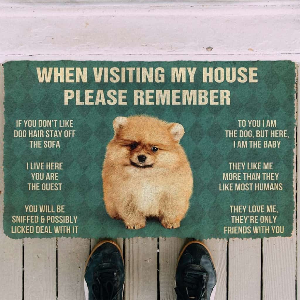 Dog Doormat 3D Please Remember Pomeranian Puppy Dogs House Rules Custom Doormat