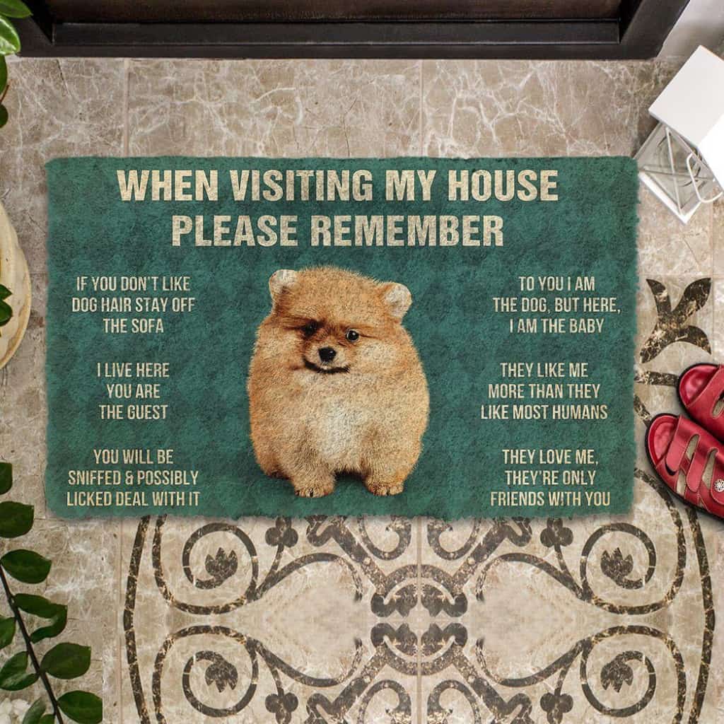 Dog Doormat 3D Please Remember Pomeranian Puppy Dogs House Rules Custom Doormat