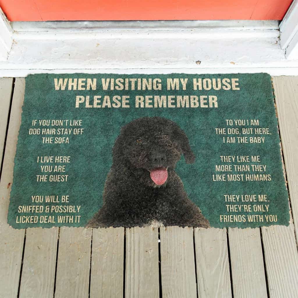 Dog Doormat 3D Please Remember Portuguese Water Dog House Rules Custom Doormat