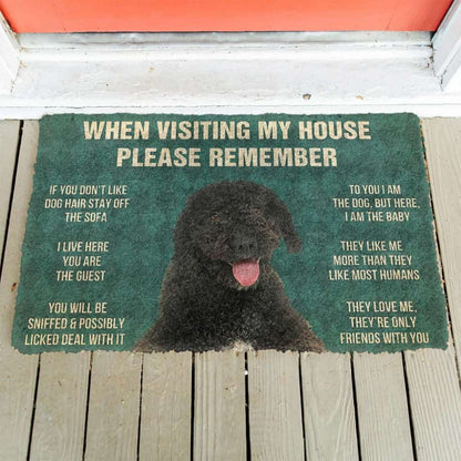 Dog Doormat 3D Please Remember Portuguese Water Dog House Rules Custom Doormat