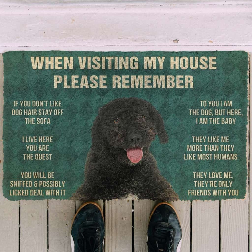 Dog Doormat 3D Please Remember Portuguese Water Dog House Rules Custom Doormat