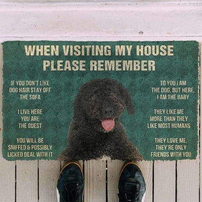 Dog Doormat 3D Please Remember Portuguese Water Dog House Rules Custom Doormat