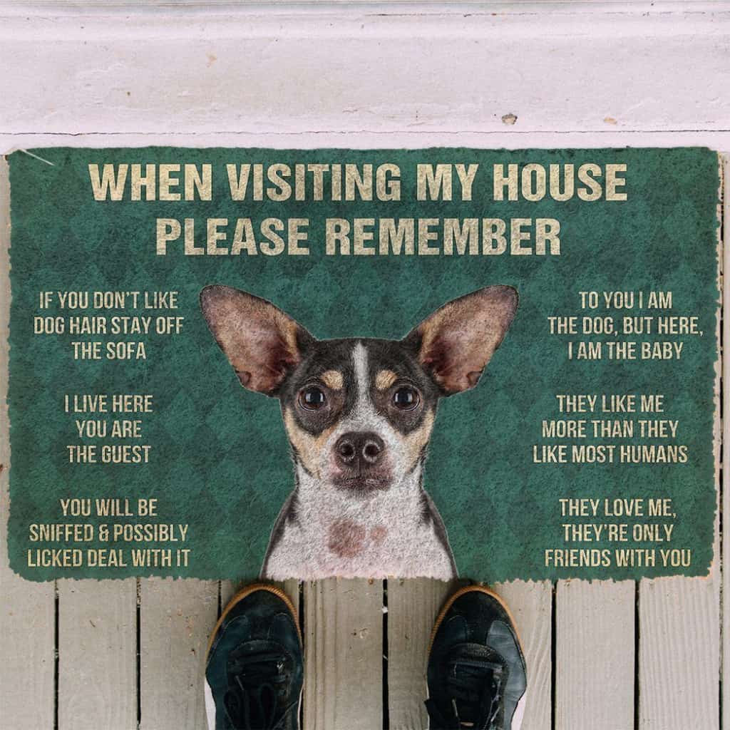Dog Doormat 3D Please Remember Rat Terrier Dogs House Rules Doormat