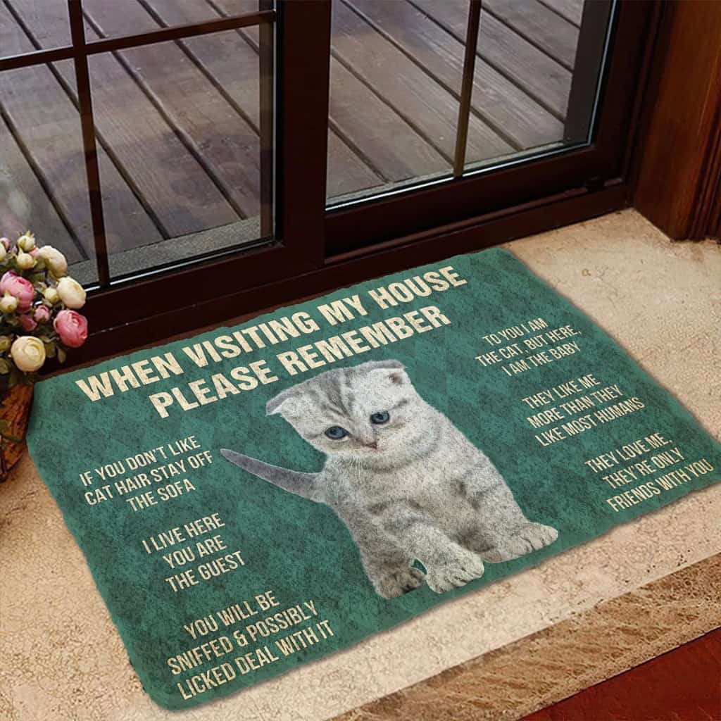 Dog Doormat 3D Please Remember Scottish Fold Kitten Cats House Rules Custom Doormat