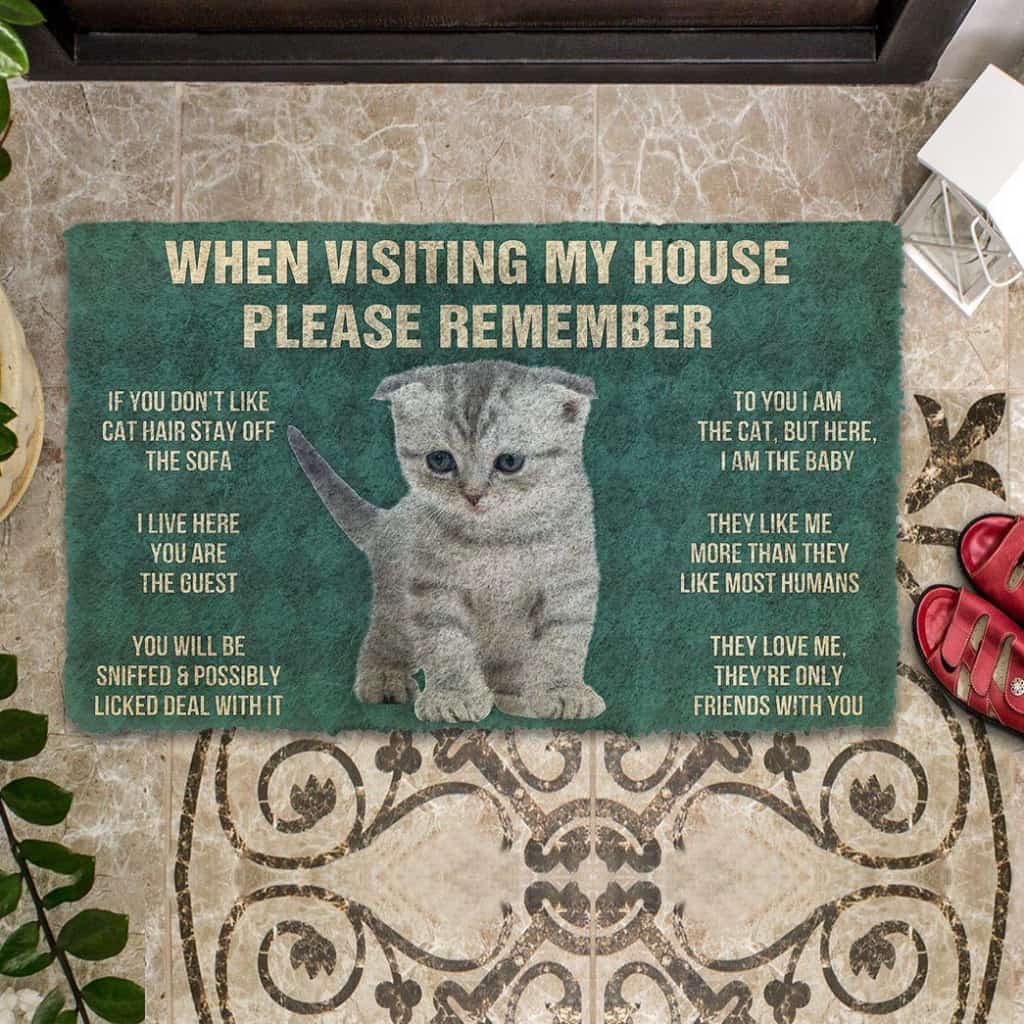 Dog Doormat 3D Please Remember Scottish Fold Kitten Cats House Rules Custom Doormat