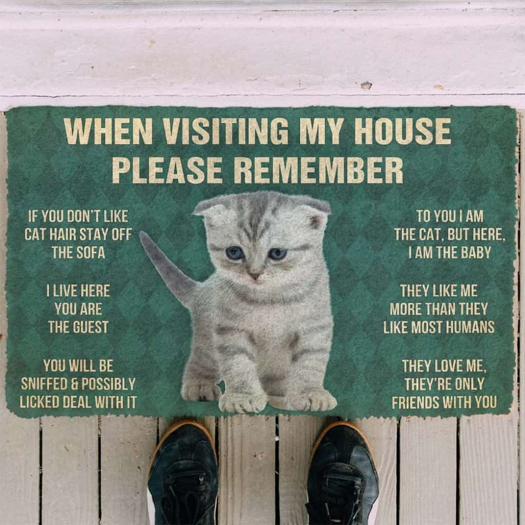 Dog Doormat 3D Please Remember Scottish Fold Kitten Cats House Rules Custom Doormat