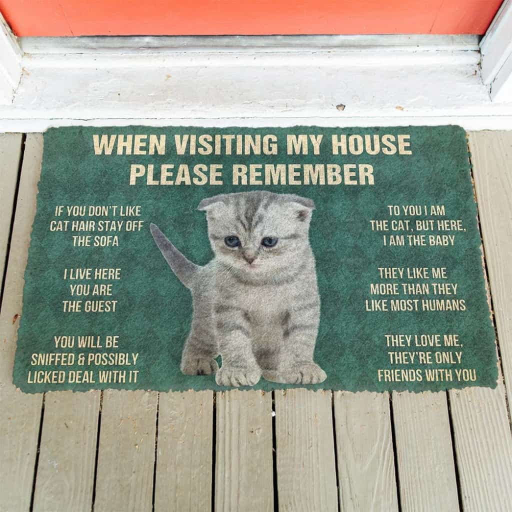 Dog Doormat 3D Please Remember Scottish Fold Kitten Cats House Rules Custom Doormat