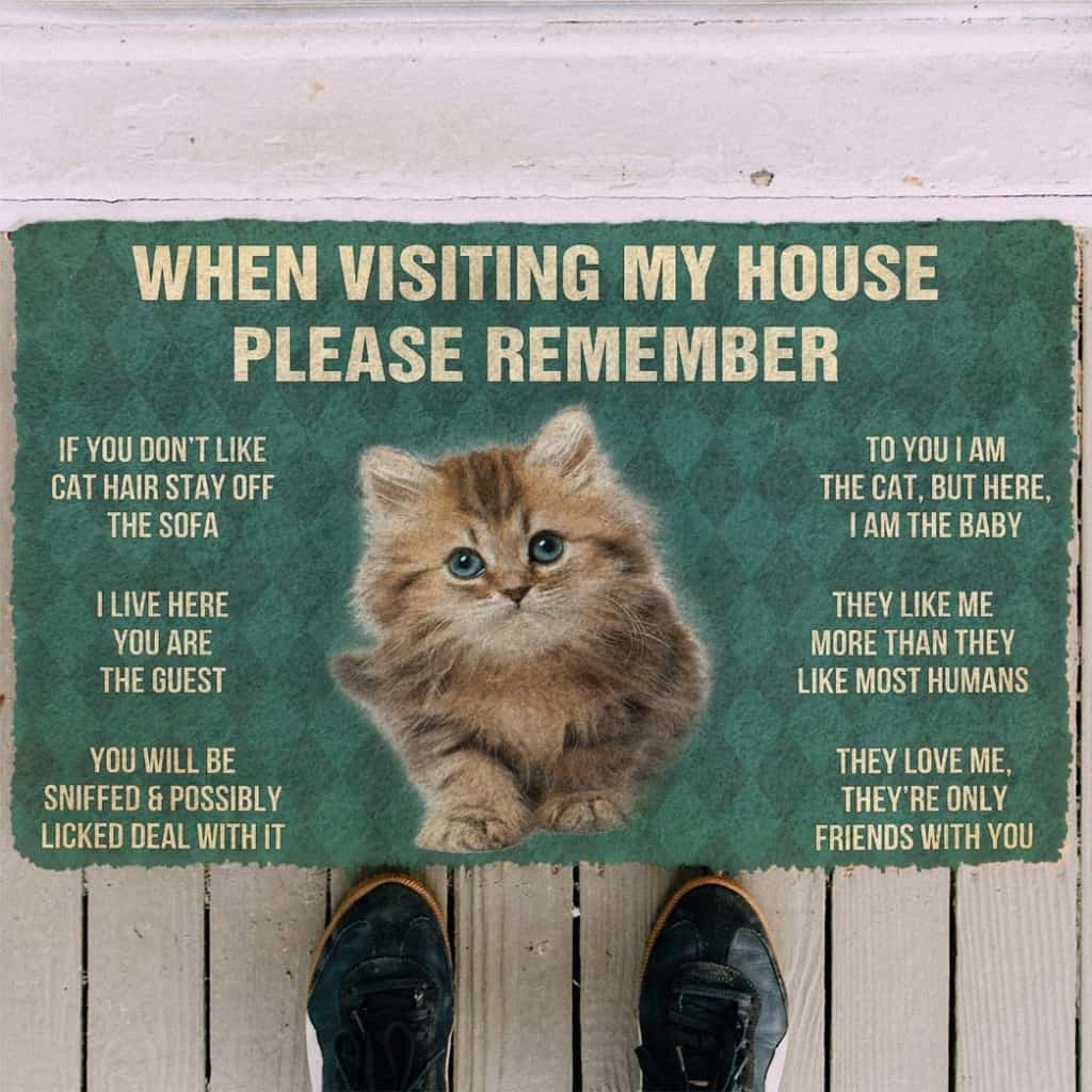 Dog Doormat 3D Please Remember Siberian Maine Kitten Cats House Rules Custom Doormat
