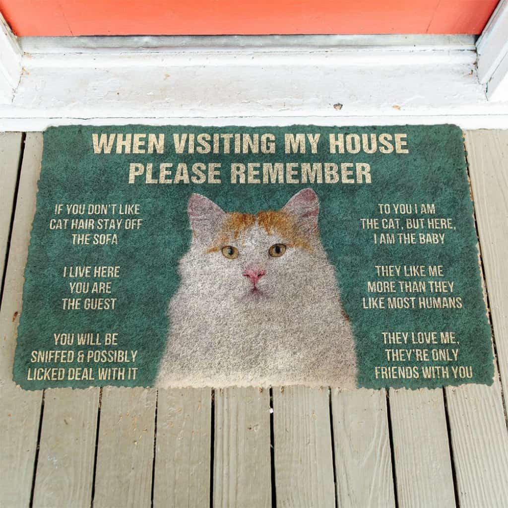 Dog Doormat 3D Please Remember Turkish Van Cat House Rules Custom Doormat