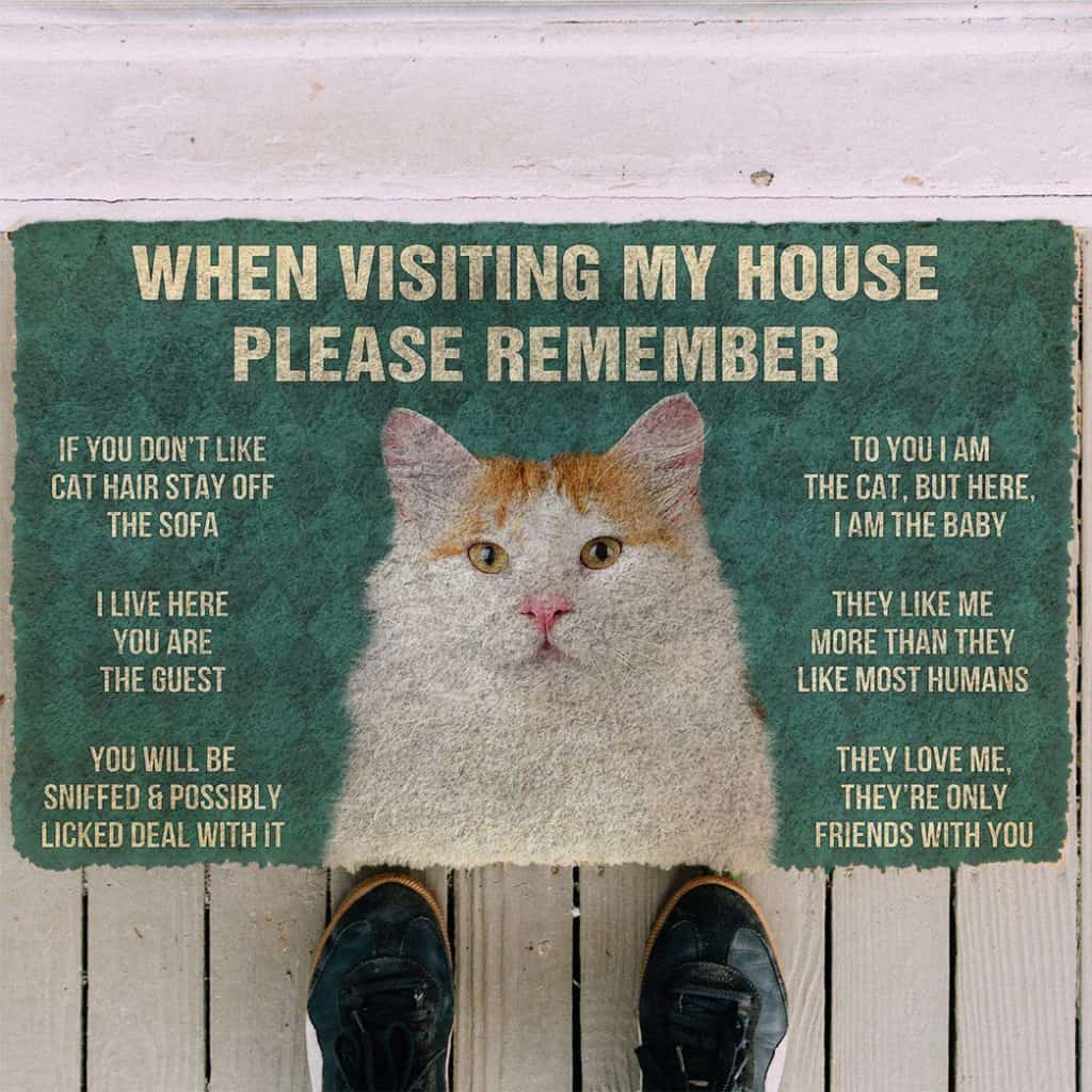 Dog Doormat 3D Please Remember Turkish Van Cat House Rules Custom Doormat