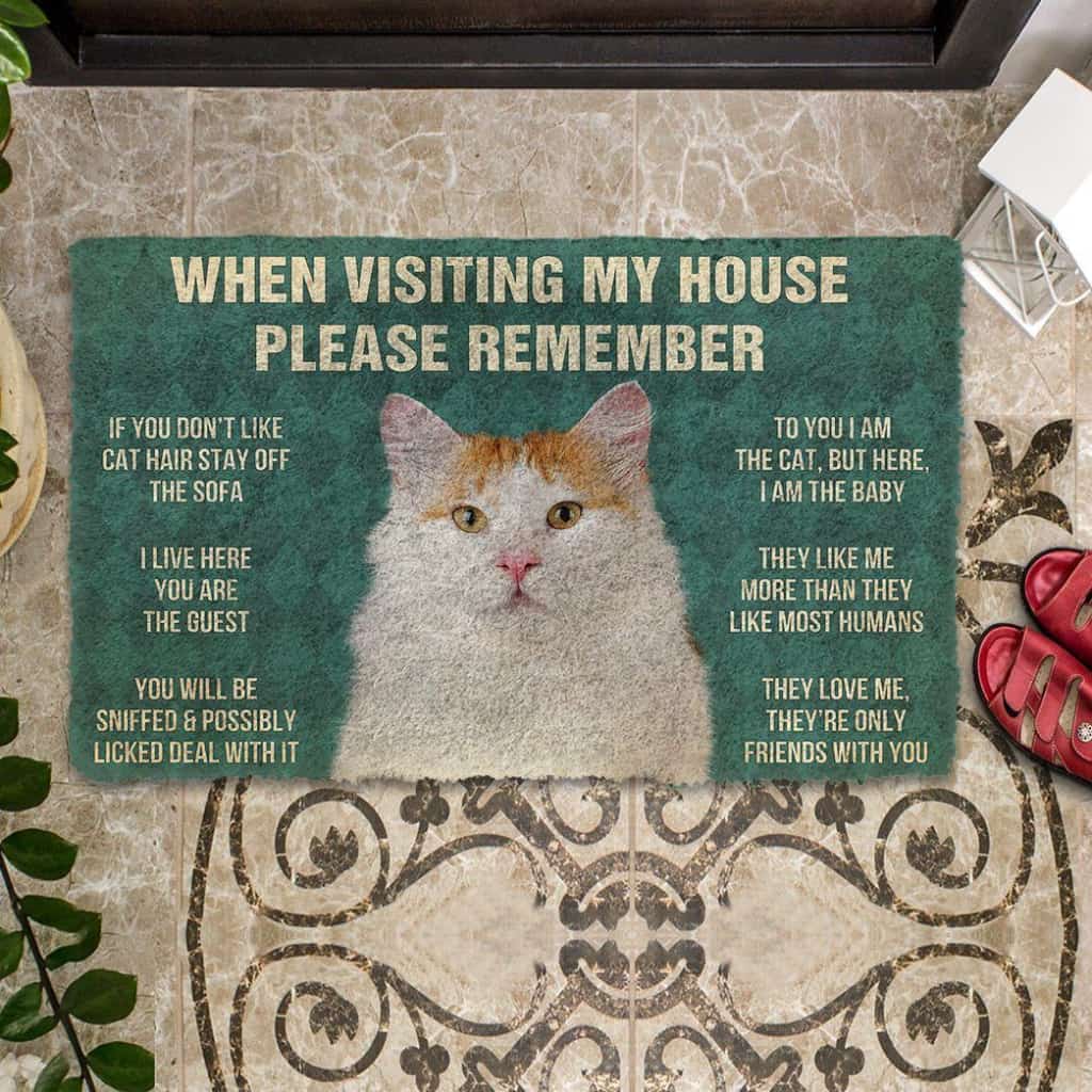 Dog Doormat 3D Please Remember Turkish Van Cat House Rules Custom Doormat