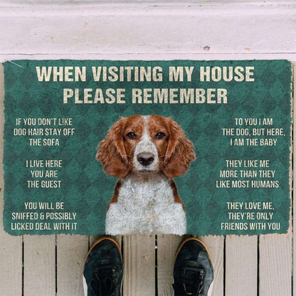 Dog Doormat 3D Please Remember Welsh Springer Spaniel Dogs House Rules Doormat