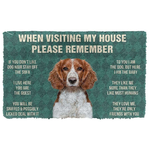 Dog Doormat 3D Please Remember Welsh Springer Spaniel Dogs House Rules Doormat