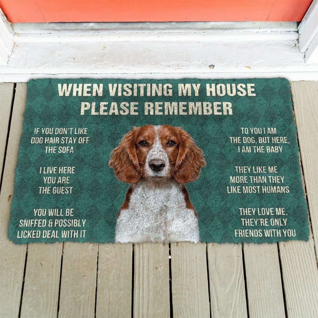 Dog Doormat 3D Please Remember Welsh Springer Spaniel Dogs House Rules Doormat