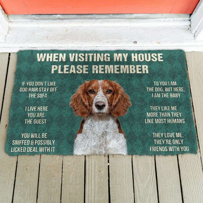 Dog Doormat 3D Please Remember Welsh Springer Spaniel Dogs House Rules Doormat