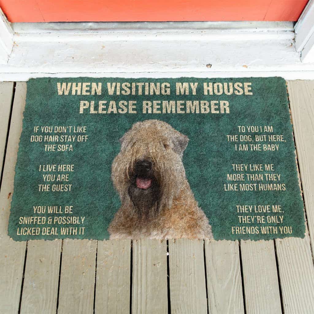 Dog Doormat 3D Please Remember Wheaten Terrier House Rules Custom Doormat