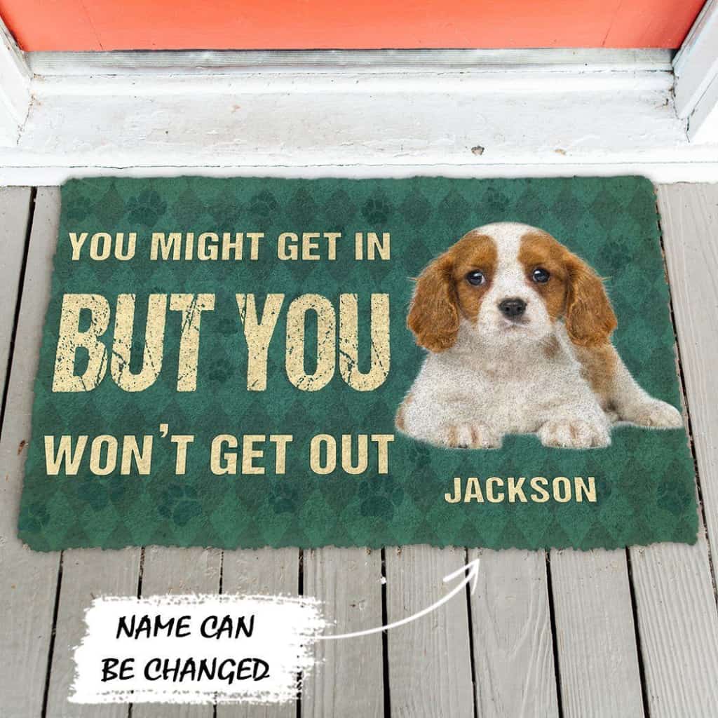 Dog Doormat 3D You Might Get In But You Wont Get Out Cavalier King Charles Spaniels Dog Doormat