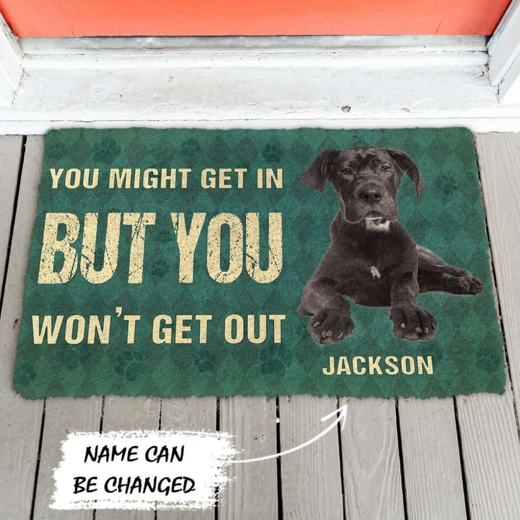 Dog Doormat 3D You Might Get In But You Wont Get Out Great Danes Dog Doormat