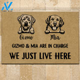 Dog Doormat Customized Name And Breed We Just Live Here | WELCOME MAT | HOUSE WARMING GIFT