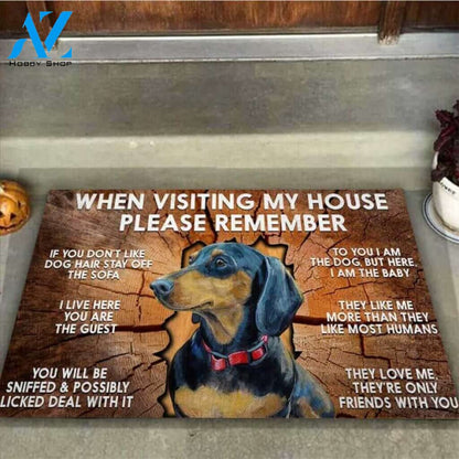 Dog Easy Clean Welcome DoorMat | Felt And Rubber | 40x60 cm | 45x75 cm | 60x90 cm | Colorful | DO1193