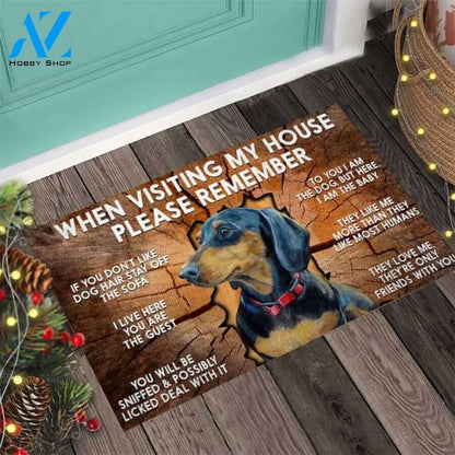 Dog Easy Clean Welcome DoorMat | Felt And Rubber | 40x60 cm | 45x75 cm | 60x90 cm | Colorful | DO1193
